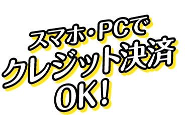 ޥۡPCǥ쥸åȷOK